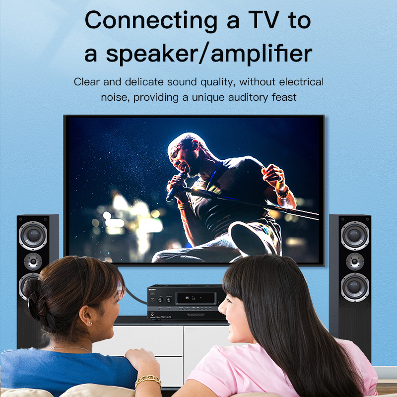 Câble RCA CHOSEAL, câble audio - Home Cinema Unit avis et prix